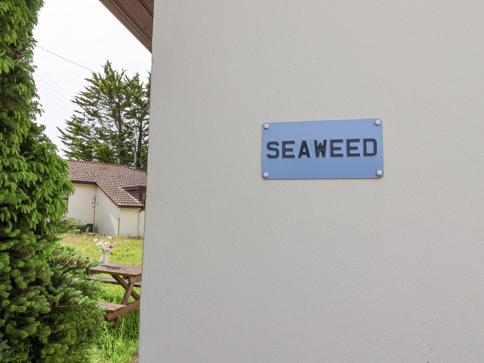 Villa Seaweed Sidmouth Esterno foto